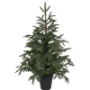Baum Frasier Fir Grun, 100 Cm