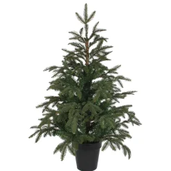 Baum Frasier Fir Grun, 100 Cm