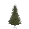 Baum Frasier Fir Grun, 140 Cm