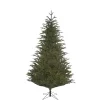 Baum Frasier Fir Grun, 215 Cm