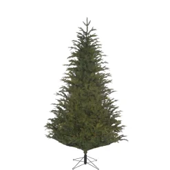 Baum Frasier Fir Grun, 215 Cm