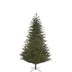 Baum Frasier Fir Grun, 185 Cm