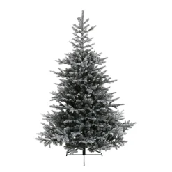 Baum Grandis Fir Beschneit, 150 Cm