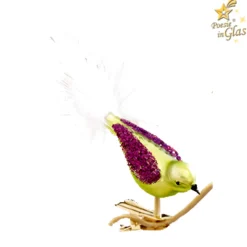 Glasvogel Grun-Lila