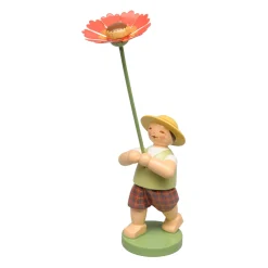 Junge Mit Sonnenbraut